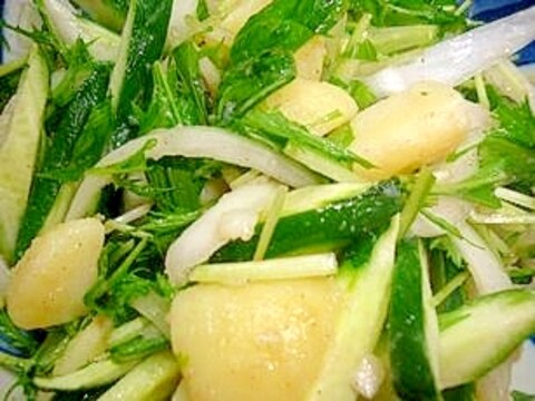 キュウリと玉ねぎと水菜のあっさりポテトサラダ